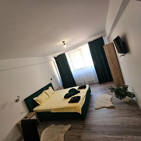 Didi Maison d'hôtes Craiova