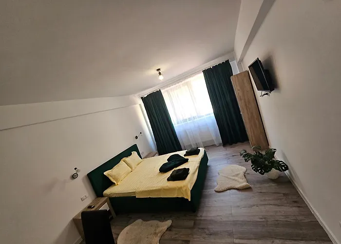 Didi Maison d'hôtes Craiova